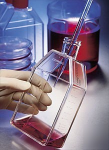 Cell culture flasks 100/cs. 75 cm sterile ventcap