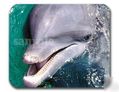 Dolphin water mouse pad - mousepad