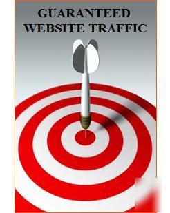 10,000 website visitors. guaranteed website traffic.