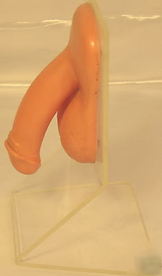 Condom training model,sex organ,demonstrate ejaculation