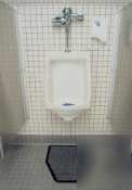 Rochester midland sani-mat urinal mat |1 cs| 25161986