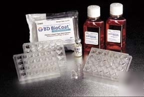 Bd biocoat hts caco-2 assay systems, bd biosciences