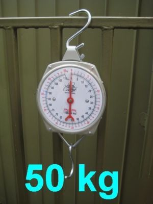 New brand quality hanging metal scale 50KG t