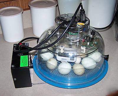 Digital egg hatching incubator thermometer hygrometer