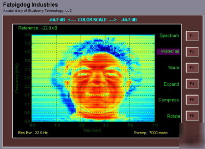 Real time fft audio spectrum analyzer, pro V3.20