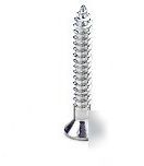 Western states 1/4X3-3/4 masonry screw 1LB