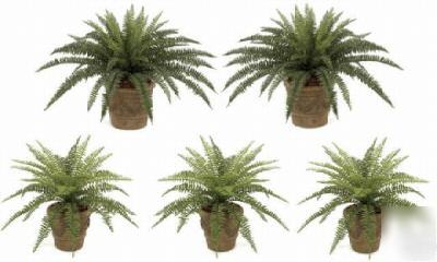 Lot * five outdoor silk ferns outside fern plant bush