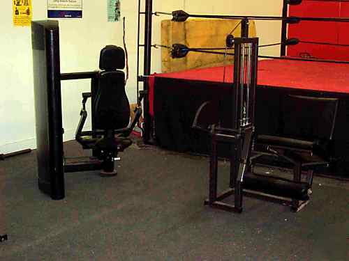 Pro wrestling business company ring boxing gym weight