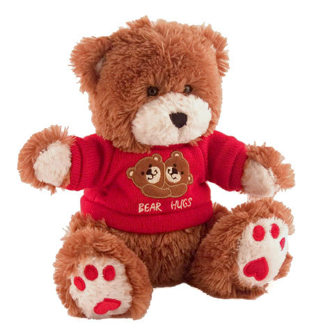 Teddy bear hidden nanny spy covert camera cam