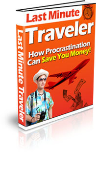 Profitable last minute travel website business for sale