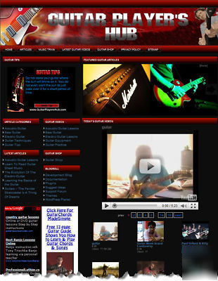 Established guitar lessons, store & video website