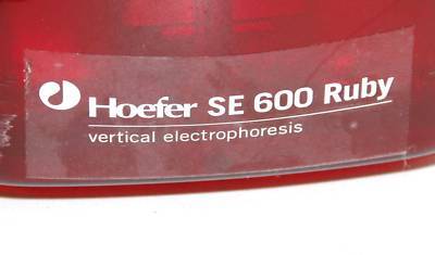 Hoefer se 600 ruby vertical electrophoresis