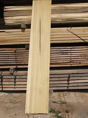 Kiln dried 4/4 rough poplar boards 100 ft to semi load
