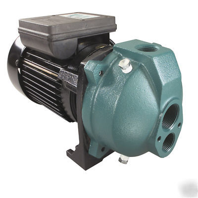 Water ace 1/2 hp 10 gpm convertible jet well pump RC5 
