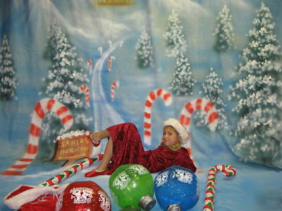 Themed photography backdrops, stands, props, costumes