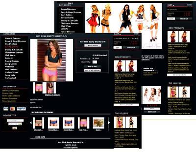 Fully loaded fashion/lingerie website for sale