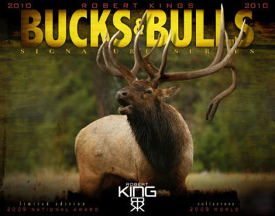 2010 kings bucks & bulls calendar antler antlers sheds