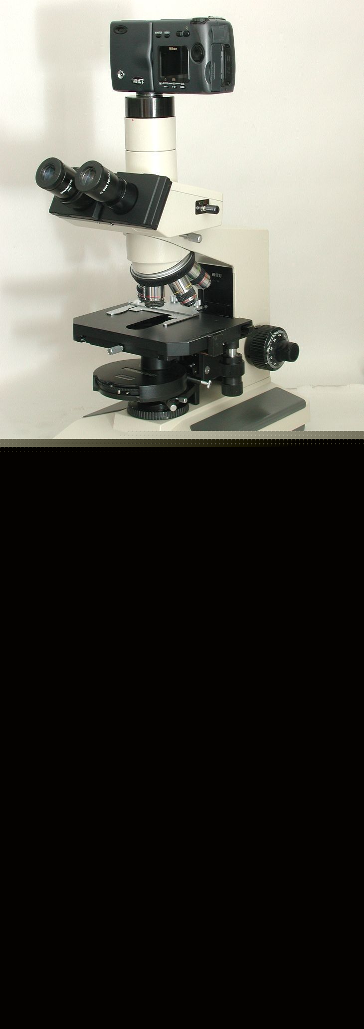 Olympus BH2 trinocular phase microscope, camera options