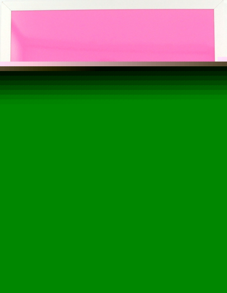 Expo magnetic pink 8 1/2