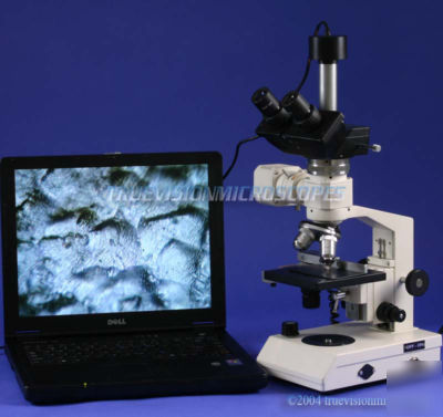 Clearance price 40X - 600X metallurgical microscope