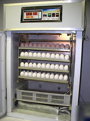 Professional chicken egg incubator 