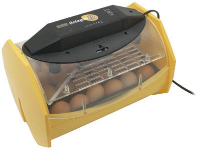 Brinsea octagon 20 eco egg incubator auto egg turn
