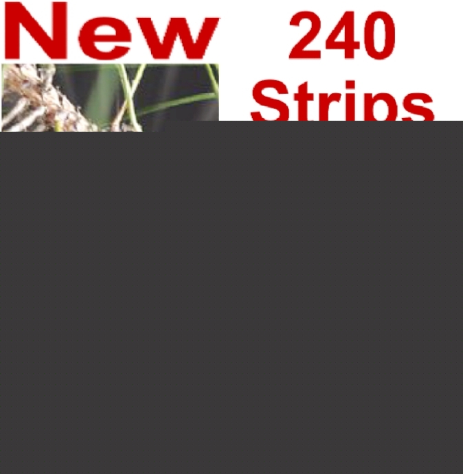Reflective light tape strips,trail/path marker/marking