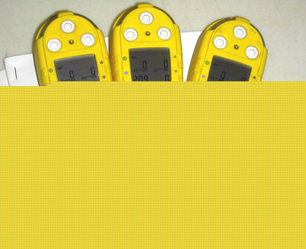 Bw gas alert micro gas monitor O2 co H2S lel calibrated