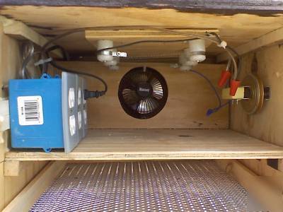 Incubator - can hold up to 250 chicken eggs