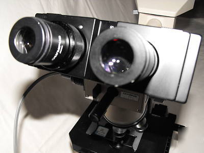 Olympus bh-2 bhtu dual viewing microscope complete