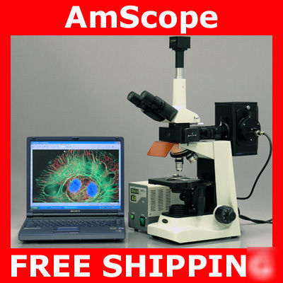 Epi fluorescence trinocular microscope + 3M fluo camera