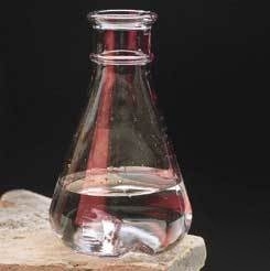 Nalge nunc baffled culture flasks, : 4110-0250