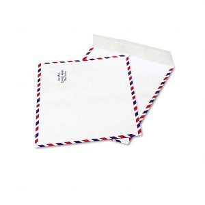 100X quality park R1600 tyvek envelopes air mail 10X13