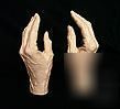 Female life cast mannequin hands art anatomical study