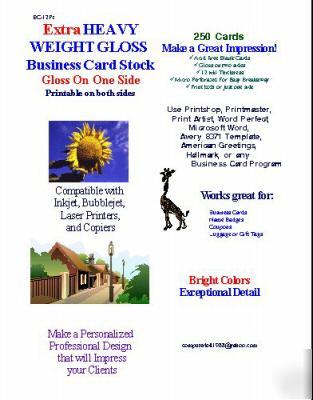 White gloss business cards 12 pt heavy paper 250 cards