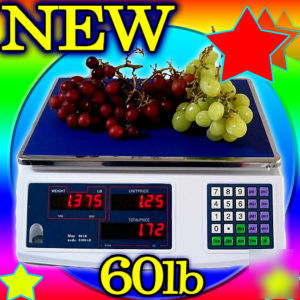 60 lb price computing digital scale produce/food/meat 