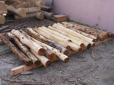 Locust logs: 8-12