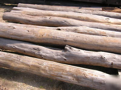 Locust logs: 8-12