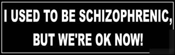 I used to be a schizophrenic bumper sticker