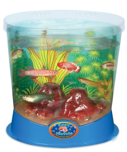 New geospace easy hatch tropical fish hatchery