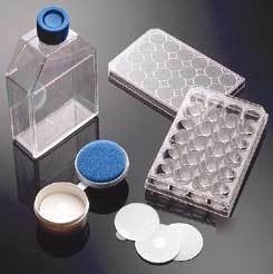 Bd biocoat cellware, poly-lysine, bd biosciences 356413