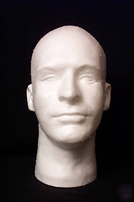 8 male styrofoam foam mannequin head display hat cap