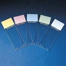 Erie scientific colorfrost plus microscope : 7951PLUS
