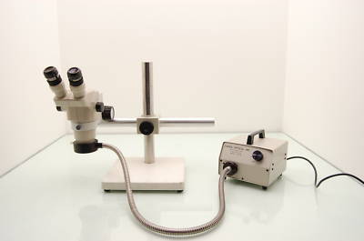 Olympus SZ3060 stereo microscope and capra qhi-85 light