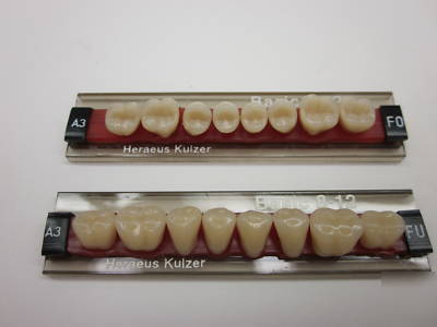 New heraeus basic denture teeth................... 