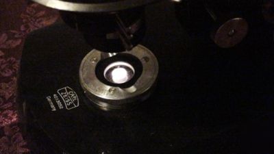 Rare zeiss standard wl trinoc pol microscope 