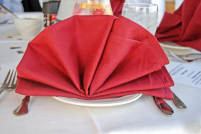 48 red restaurant dinner cloth linen napkins 20X20