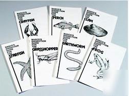 Set of 7 dissection guides earthworm-frog-clam-perch et