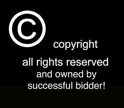 Hit song copyright and all royalties-never is foreverÂ©