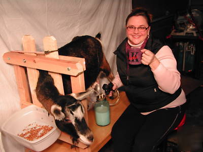 Goat milking machine (cream with your coffee?)